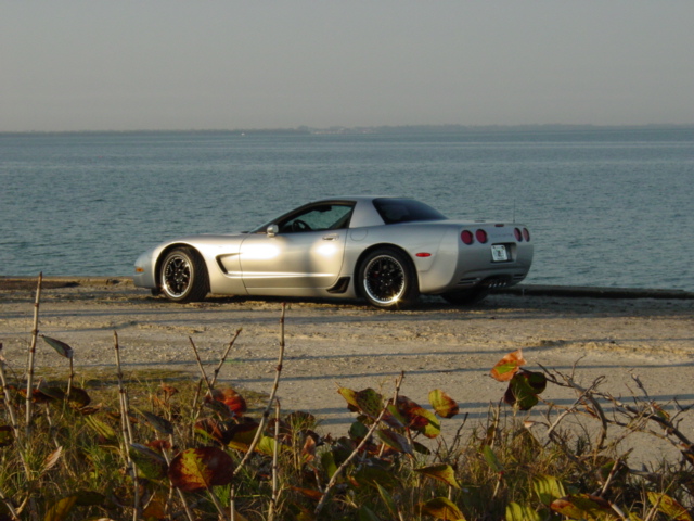 My QS Z