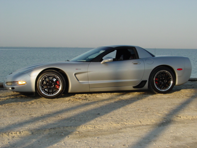 My QS Z