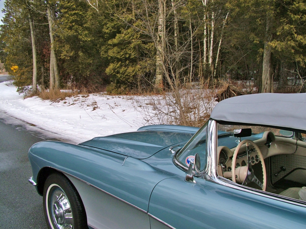 New Years Day Cruise