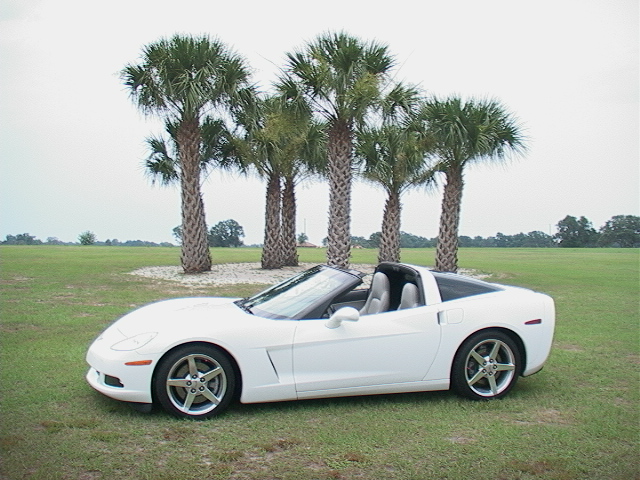 Our C6