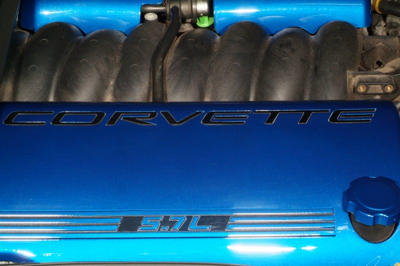 Painted fuel rail covers