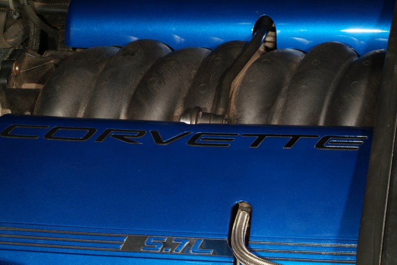 Painted fuel rail covers