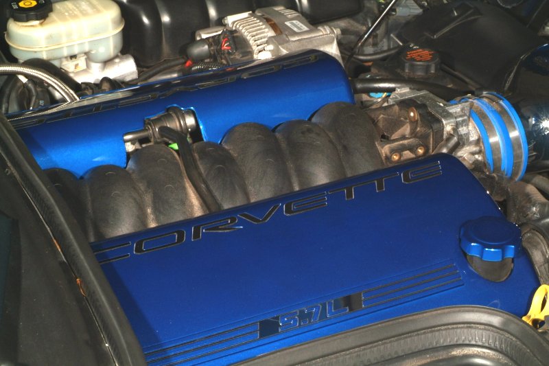 Painted fuel rail covers