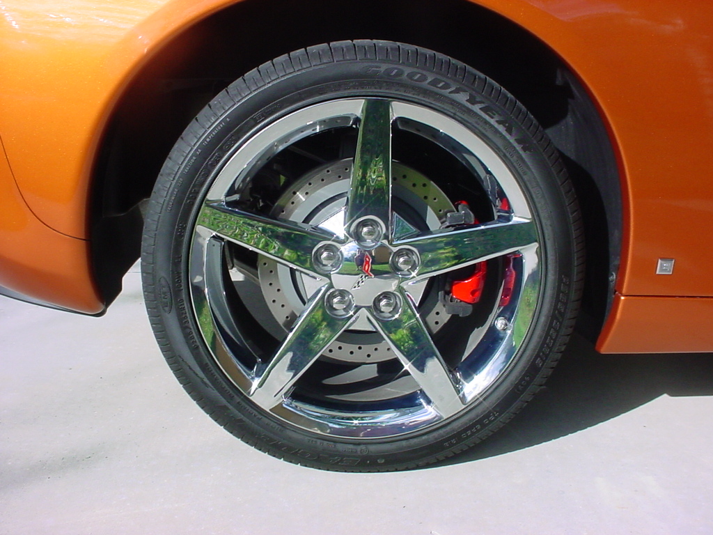 Pass Rear Painted Caliper
