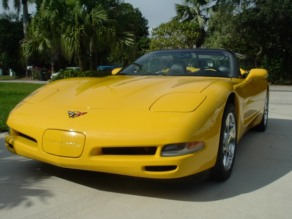 Pics of the &quot;01
