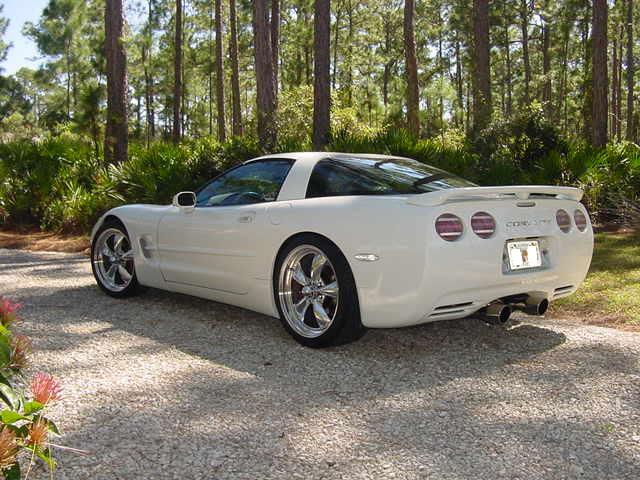 Rick_Evans_005