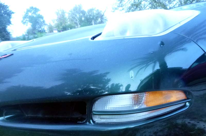 strips on turn signal add on