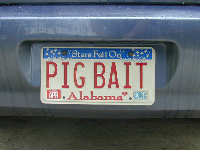 tag_pigbait