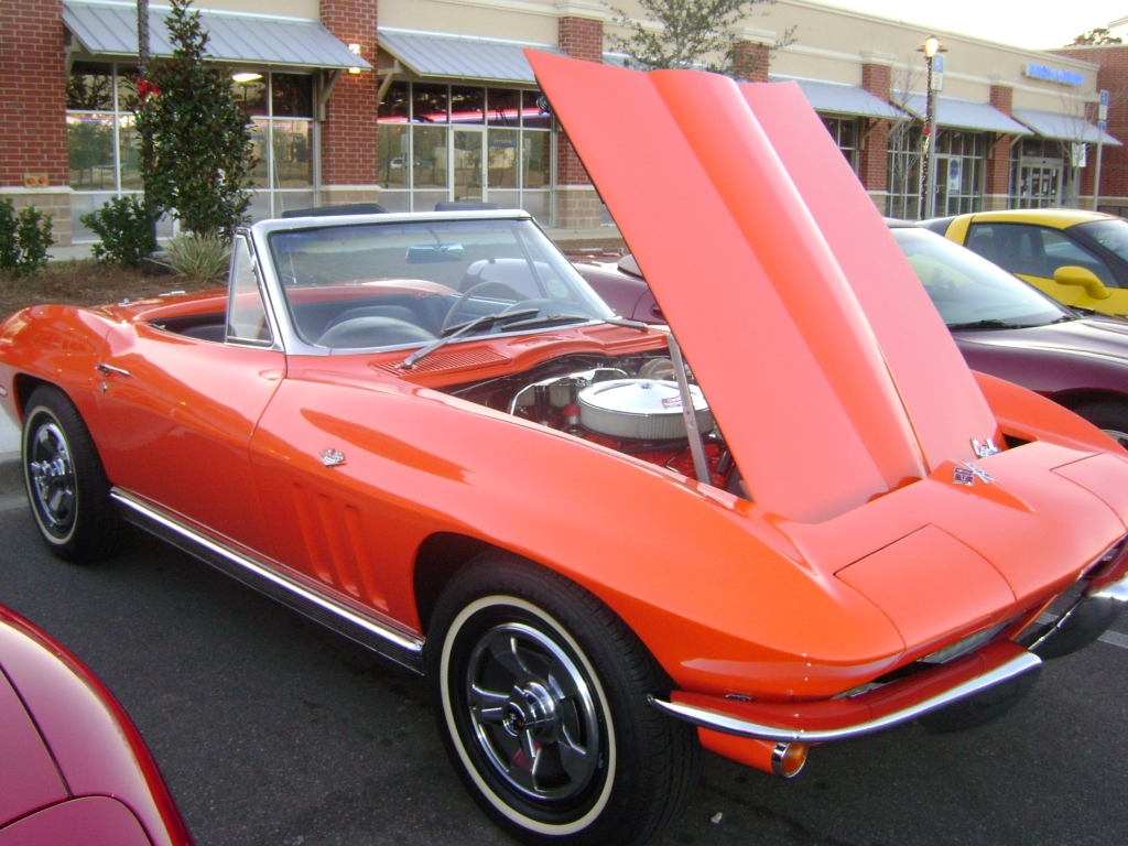 Tallahassee Corvettes