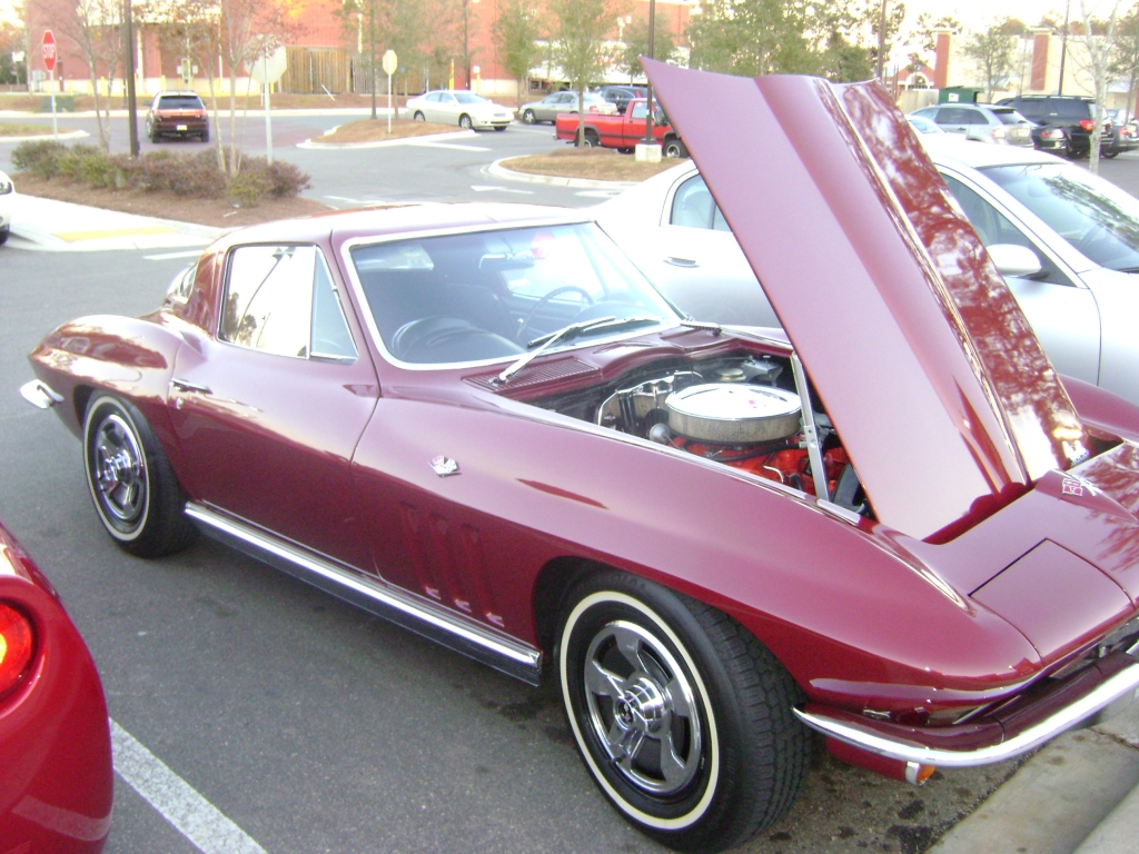 Tallahassee Corvettes