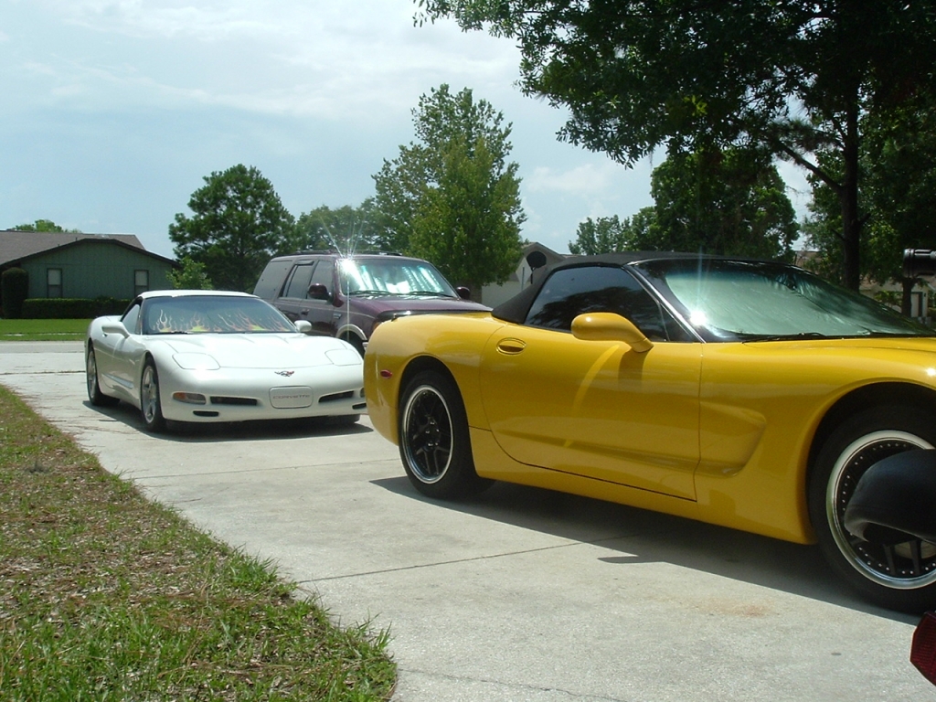 The Vettes