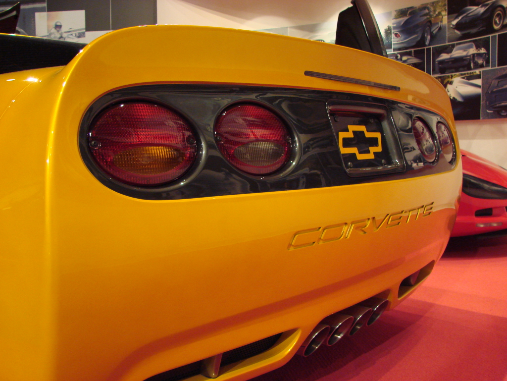 Tiger_Shark_Rear_WEB