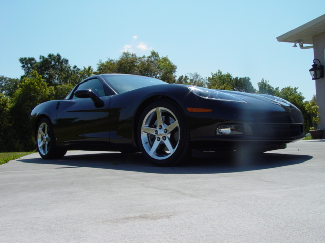 Vette