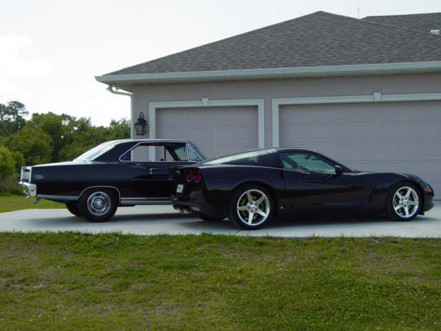 Vette
